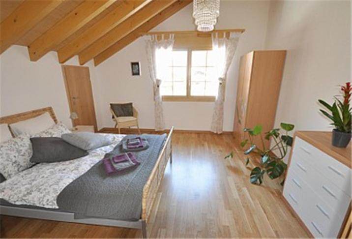 ラウターブルンネンCharming Penthouseアパートメント 部屋 写真
